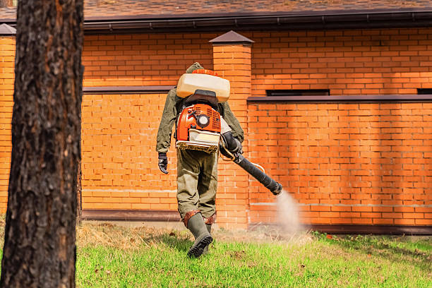 Bed Bug Clearance Verification and Documentation in Malibu